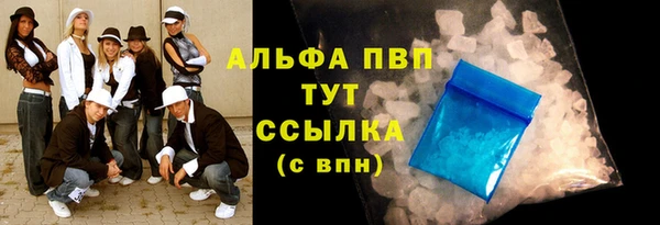 прущие грибы Гусев