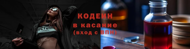 прущие грибы Гусев