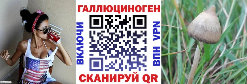 Галлюциногенные грибы прущие грибы  как найти закладки  Луга 