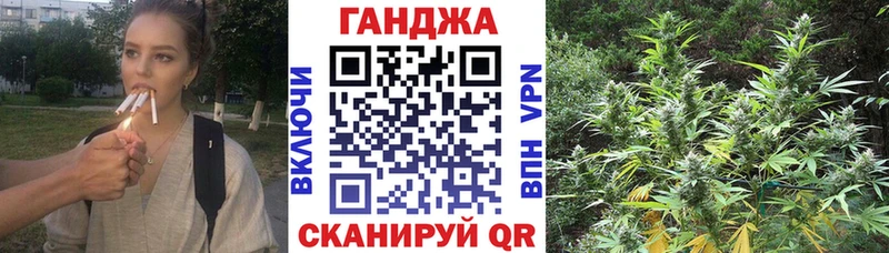 где найти Луга Шишки марихуана VHQ